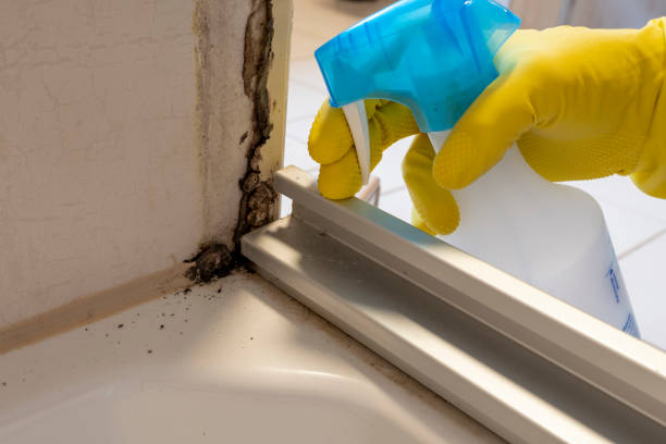 West Point, VA Mold Remediation Company